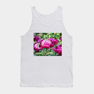 Beautiful Deep Magenta Peonies in Late May Tank Top